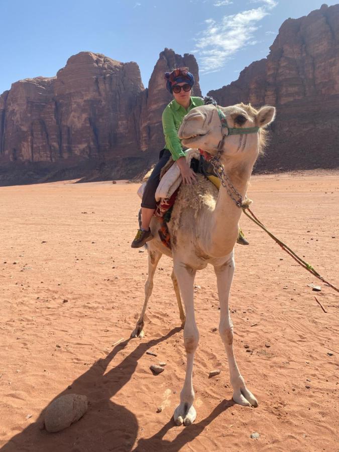 Wadi Rum Desert Base Camp エクステリア 写真
